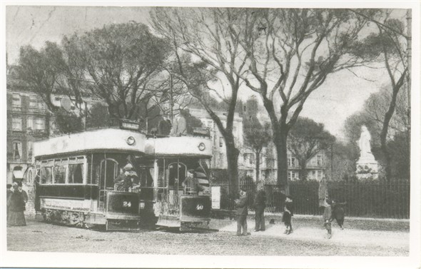 Photo:233 - Trams in Victoria Gardens, 1905