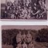 Page link: WOMENS LAND ARMY PEACEHAVEN